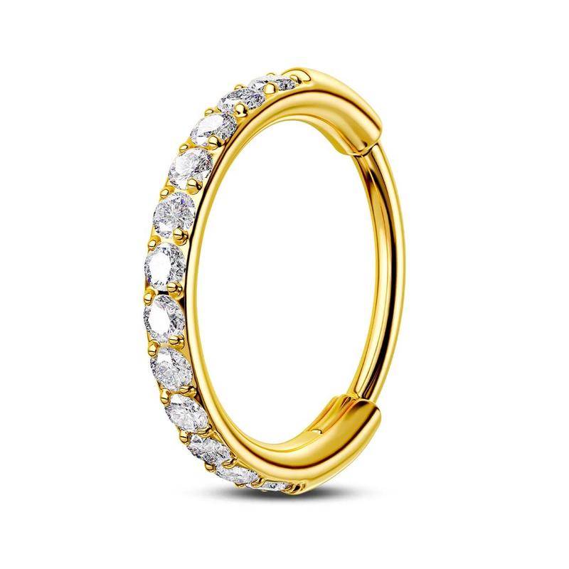 Oufer 22G Micro Paved CZ Stone Hinged Segment Nose Ring