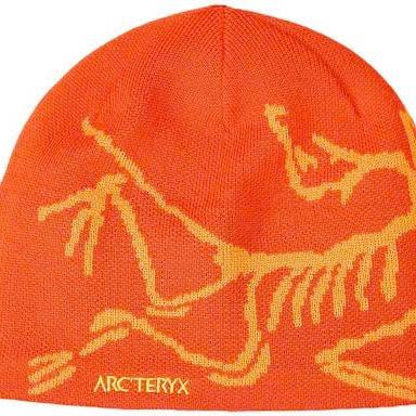 Arc'teryx Beanie - Bird Head Toque Trendy, Ultra-Warm Winter Essential